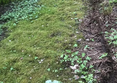 Pihakiveys ennen